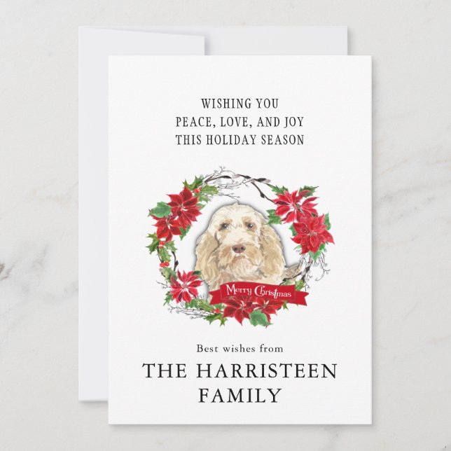Spinone Italiano Watercolor Poinsettia Weihnachten (Vorderseite)