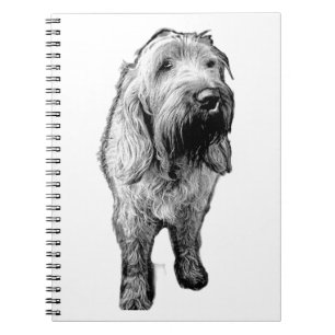 Spinone Notizbuch – Rücksichtsvolle Hundefreundin Notizblock