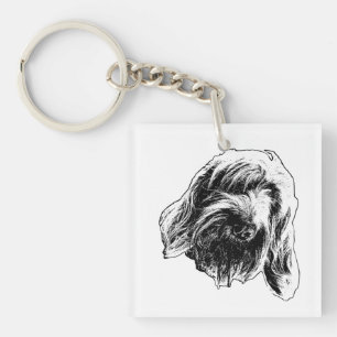 Spinone Pocket Quiet