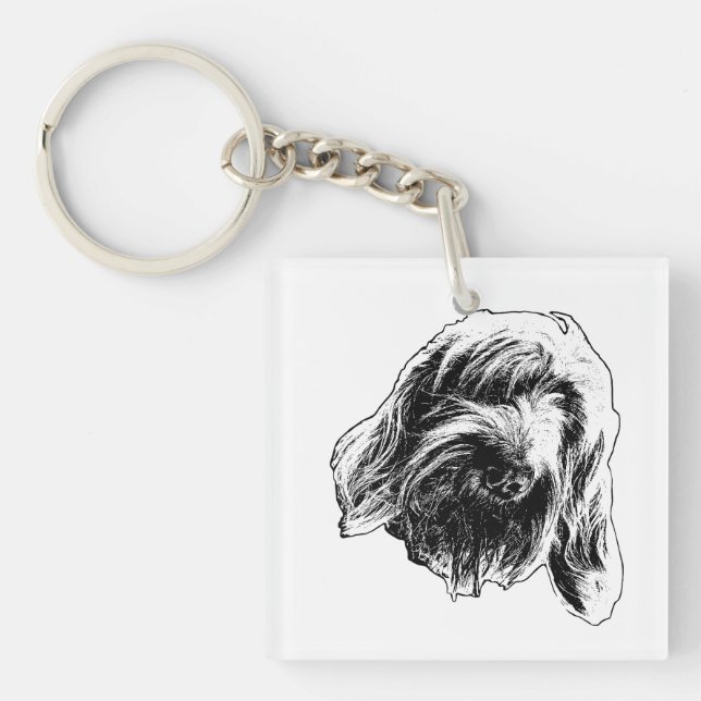 Spinone Pocket Quiet (Devant)