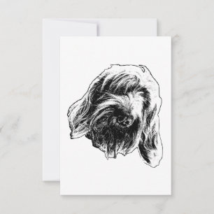 Spinone sanfte Dankbarkeit Dankeskarte