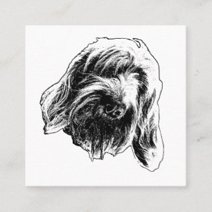 Spinone Standhafte Freundlichkeit Quadratische Visitenkarte