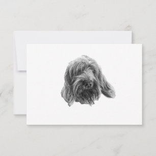 Spinone Stille Dankbarkeit Dankeskarte