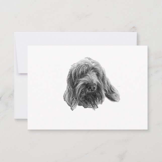 Spinone Stille Dankbarkeit Dankeskarte (Vorderseite)