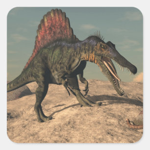 Spinosaurus Dinosaurier, der eine Schlange jagt Quadratischer Aufkleber