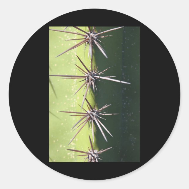 Spiny Cactus Closeup Vertikaler Sticker (Vorderseite)