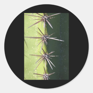 Spiny Cactus Closeup Vertikaler Sticker