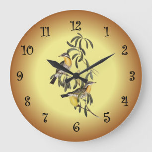 Spiny-Cheeked Honey-Eater ~ Elisabeth Gould 06 Große Wanduhr