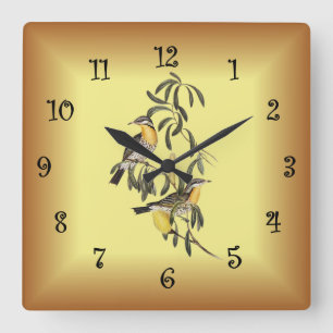 Spiny-Cheeked Honey-Eater ~ Elisabeth Gould 06 Quadratische Wanduhr