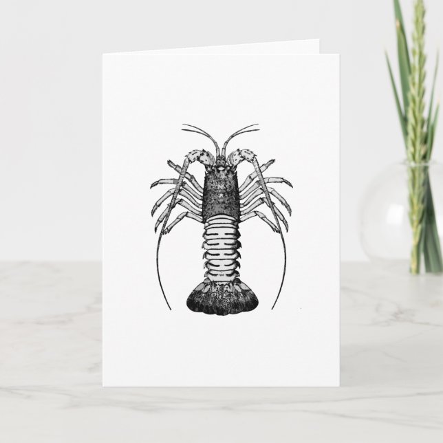 Spiny Humster (Kalifornien) Karte (Vorderseite)