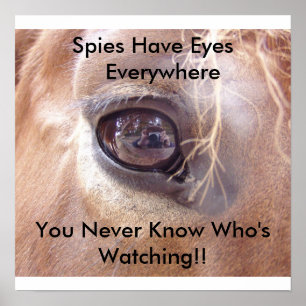 Spions-Augen Poster