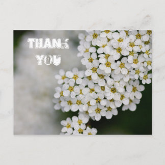 Spiraea Vielen Dank Postcard Postkarte