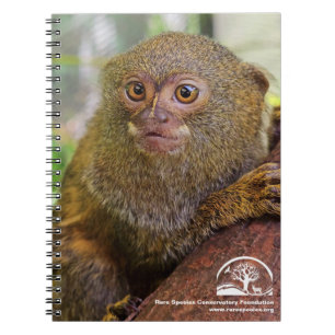Spiral-Foto-Notebook Notizblock