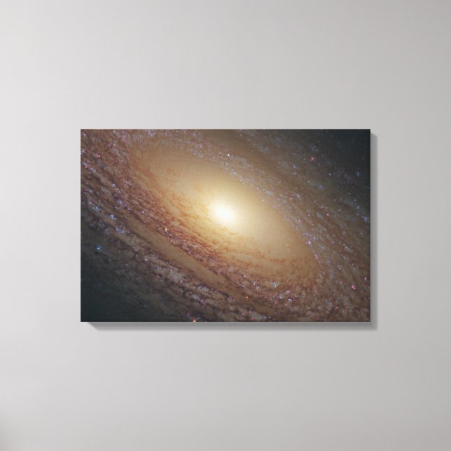 Spiral Galaxy Ngc 2841 Leinwanddruck (Vorderseite)