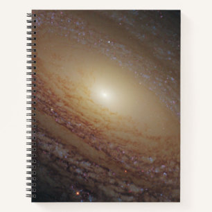 Spiral Galaxy Ngc 2841 Notizbuch