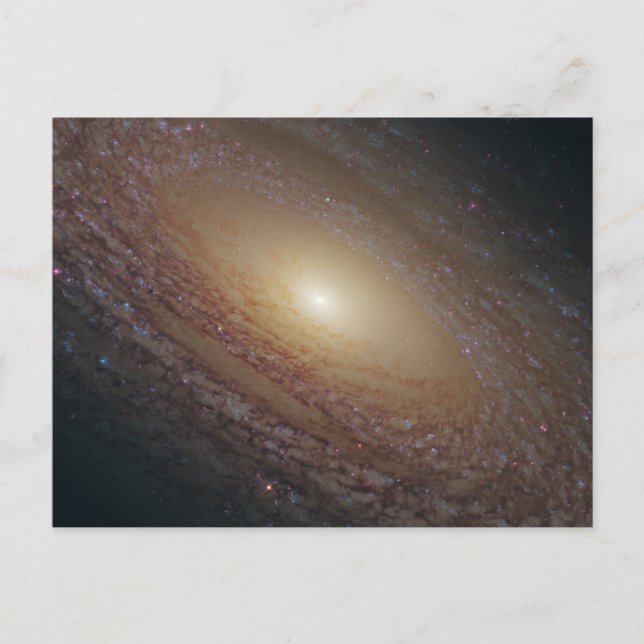 Spiral Galaxy Ngc 2841 Postkarte (Vorderseite)
