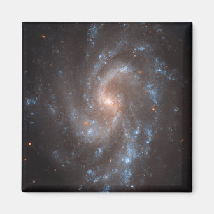 Spiral Galaxy Ngc 5584 Magnet