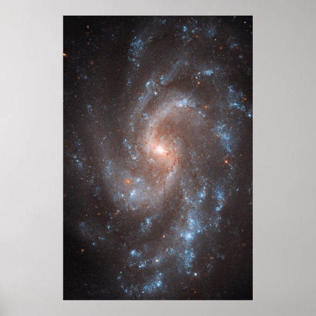 Spiral Galaxy Ngc 5584 Poster (Vorne)