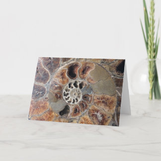 Spiral Muschel Fossil Leere Grußkarte Karte