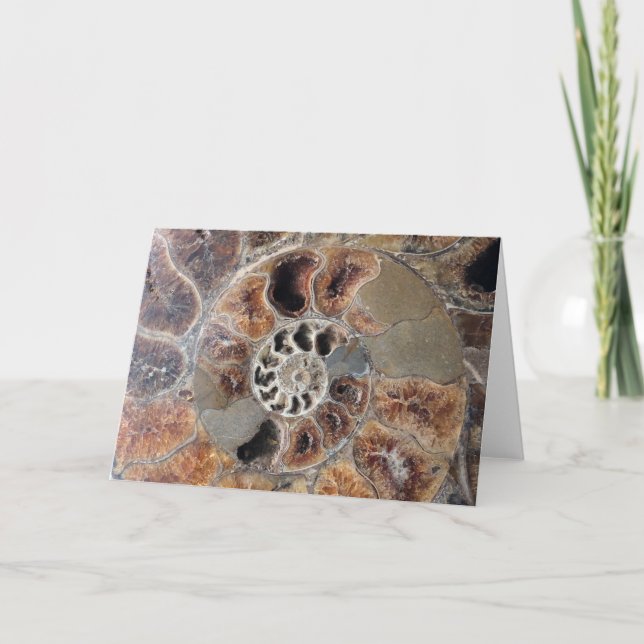 Spiral Muschel Fossil Leere Grußkarte Karte (Vorderseite)