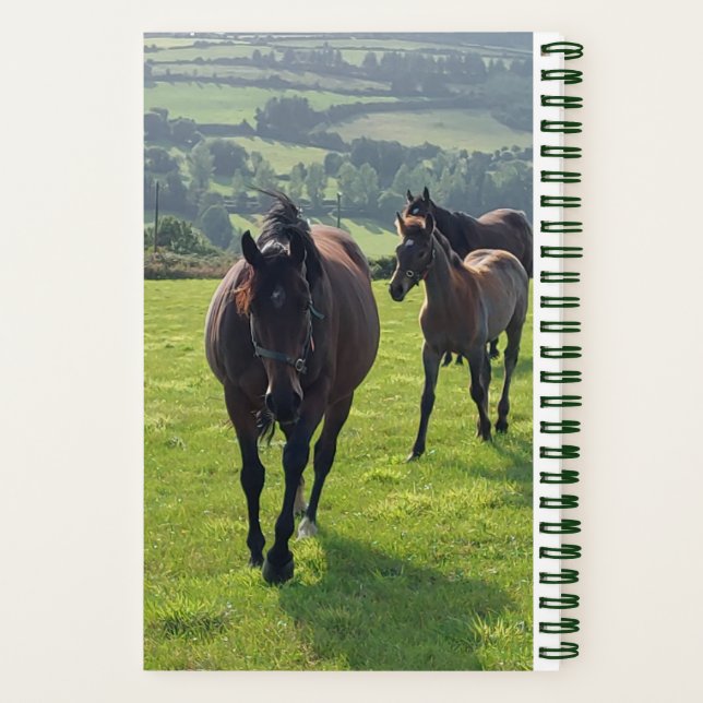 Spiral Notebook Farrier Notizbuch (Rückseite)