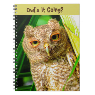 Spiral Notebook Owl ist's Notizblock