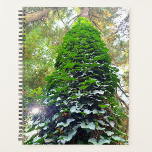 Spiral Notebook Planner Planer