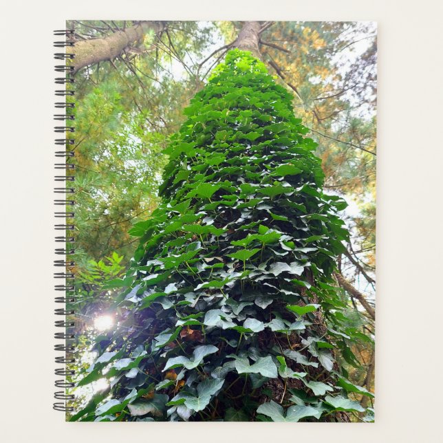 Spiral Notebook Planner Planer (Vorderseite)