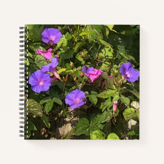 Spiral Notebook Watercolor Morning Glory Design Notizbuch