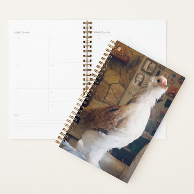 Spiral Planner Chicken on the Fireplace Planer (Anzeige)