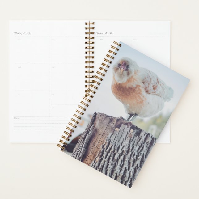 Spiral Planner - Its a Stumped Day (Devant avec enveloppe)