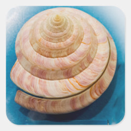 Spiral Seashell Quadratischer Aufkleber
