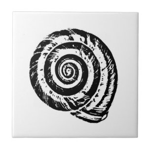 Spiral Seashell, Schwarz und Weiß Fliese