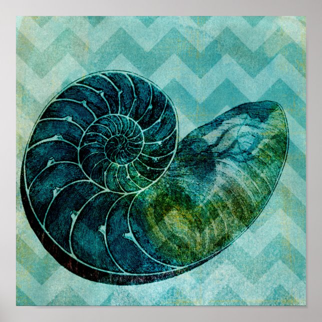 Spiral Turquoise Conch Muschel Poster (Vorne)