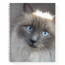 Spiral-Zeitschriftenabdeckung