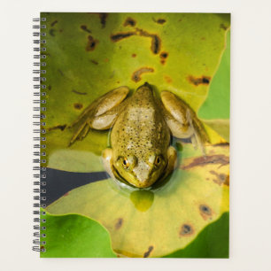 Spirale de grenouille Planificateur hebdomadaire/m