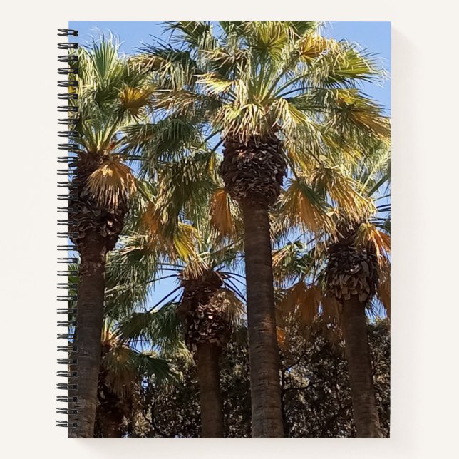 Spiralfolienfolie Notizbuch (Vorderseite)