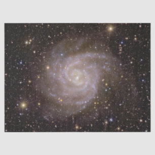Spiralgalaxie IC 342 Seidenpapier