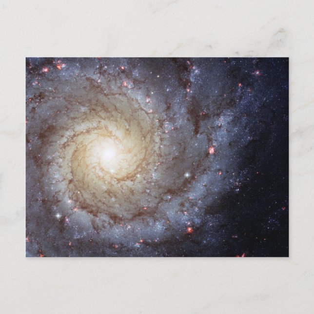 Spiralgalaxie M74 (Hubble) Postkarte (Vorderseite)