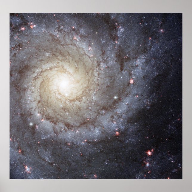 Spiralgalaxie M74 Poster (Vorne)