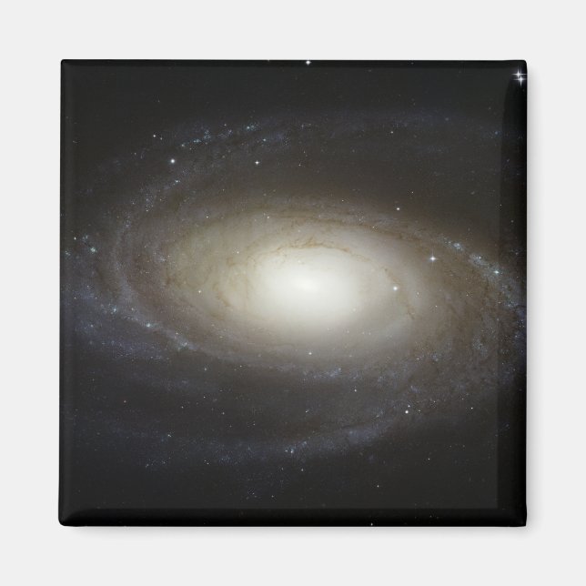 Spiralgalaxie M81 Magnet (Vorne)
