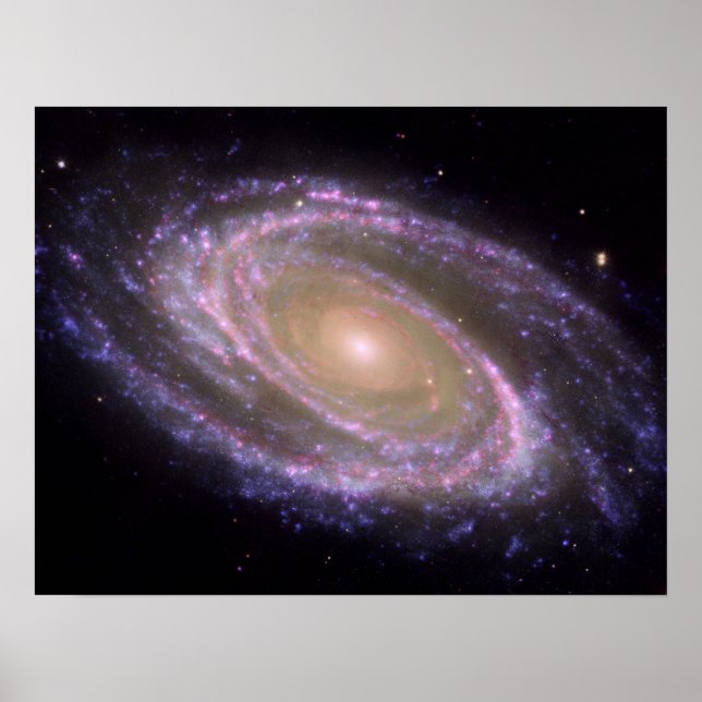 Spiralgalaxie M81 Poster (Vorne)