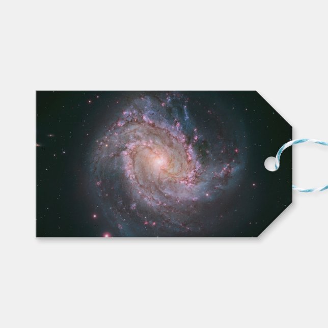 Spiralgalaxie M83 (NASA) Geschenkanhänger (Vorderseite (Horizontal))