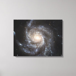 Spiralgalaxie Messier 101 Leinwanddruck