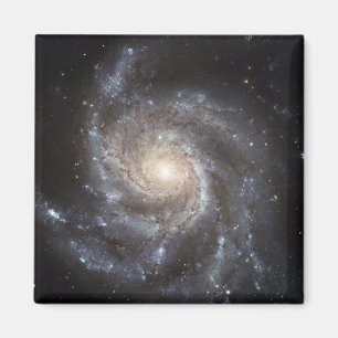 Spiralgalaxie Messier 101 Magnet