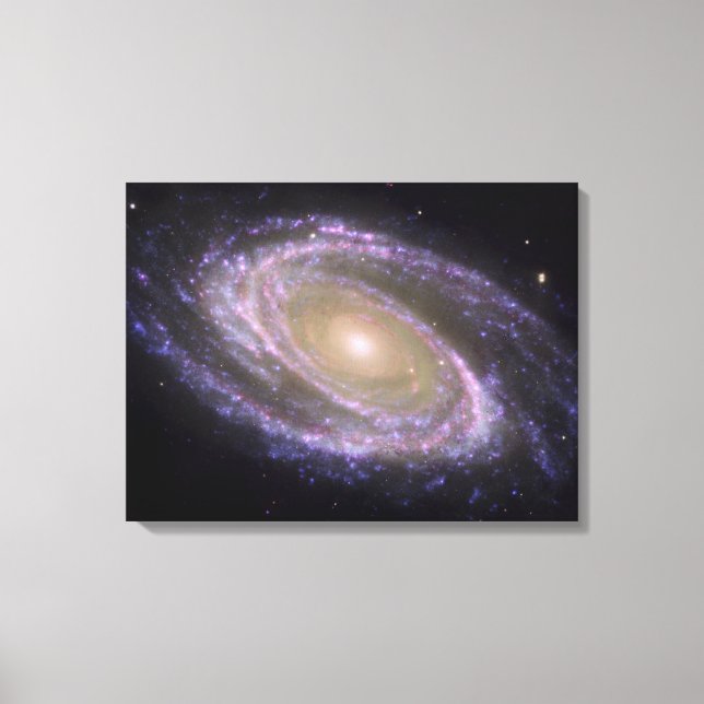 Spiralgalaxie Messier 81 Leinwanddruck (Vorderseite)