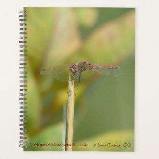 Spiralgebundenes Planbuch mit Libellenfoto Planer
