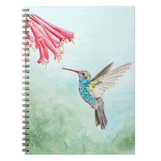 Spiralnotebook Hummingbird Notizblock