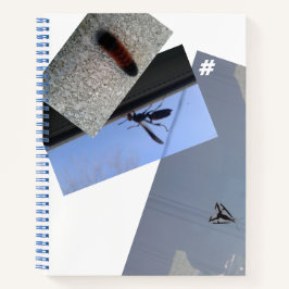 Spiralnotebook/INSECTS/MMETROPOLIM DESIGN Editor Notizbuch