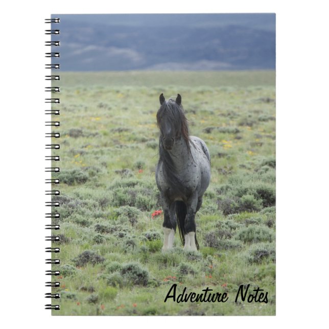 SpiralNotebook mit Blauer Zeus Notizblock (Vorderseite)